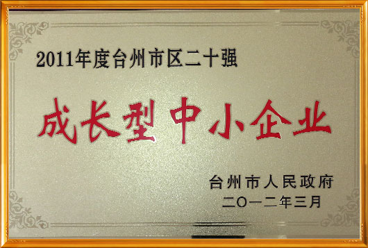 honor certificate-副本-副本